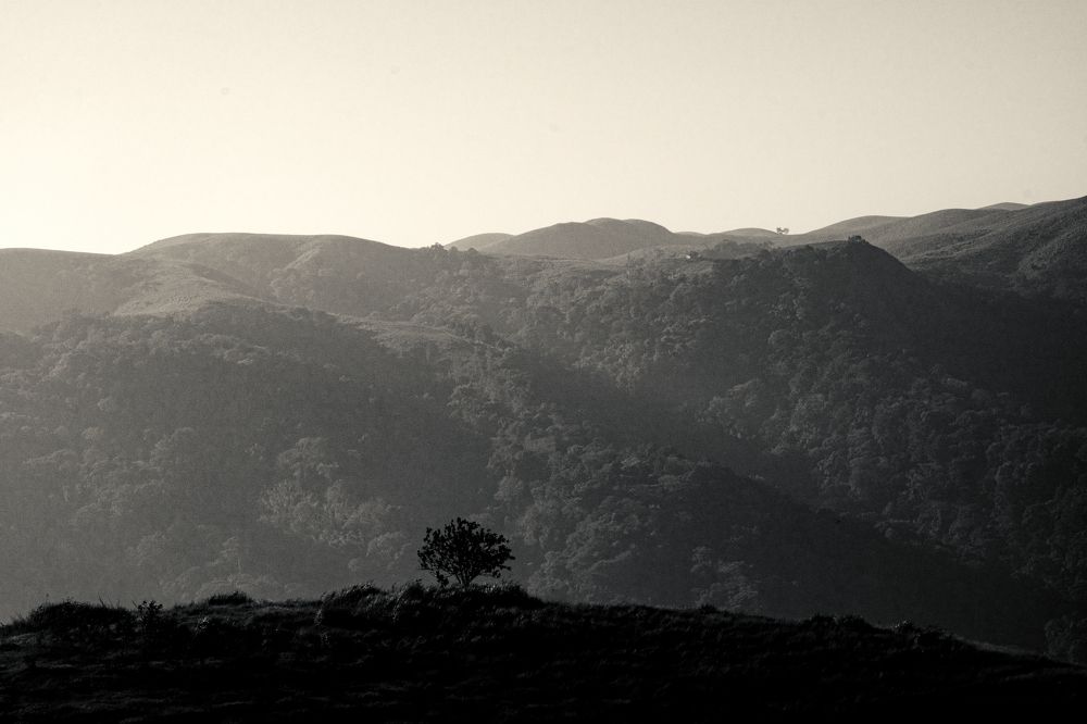 Photograph by Akhil Nadh PC