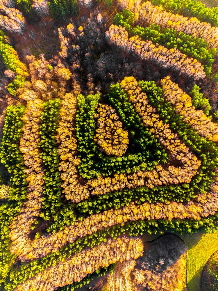 Photograph by Никита Веретко