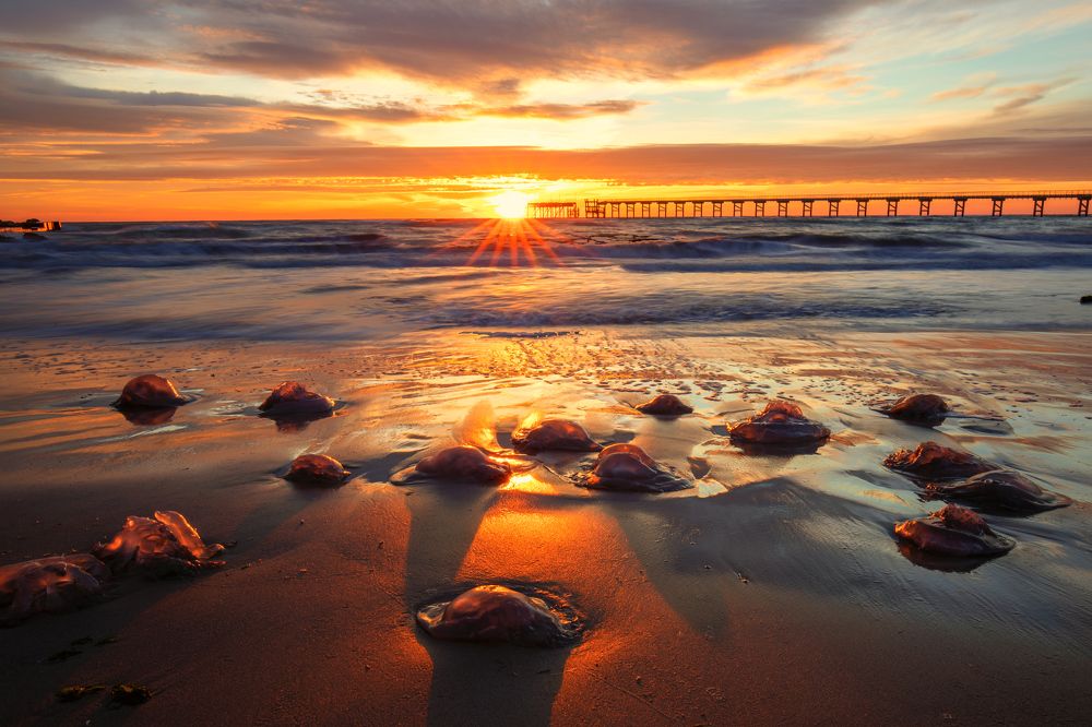 Photograph by Pavlin Georgiev