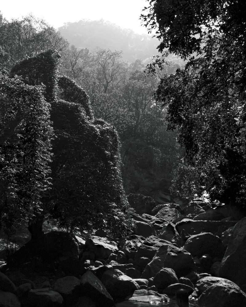 Photograph by Akhil Nadh PC