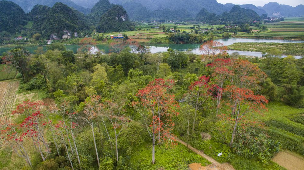 Photograph by Hữu Trung Photographer