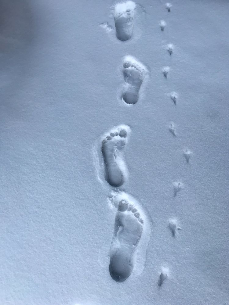 Photograph by Димитрий Осинцев