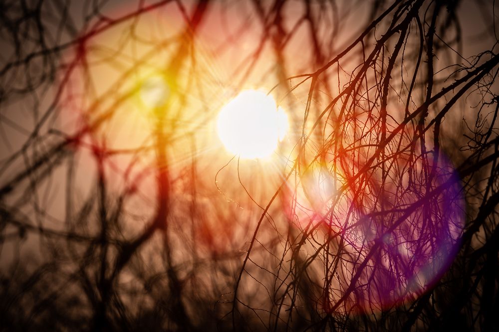 Photograph by Ажар Шайдилдинова