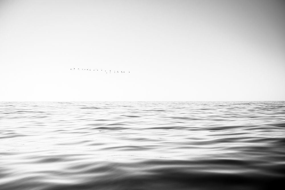 Photograph by Anastasia