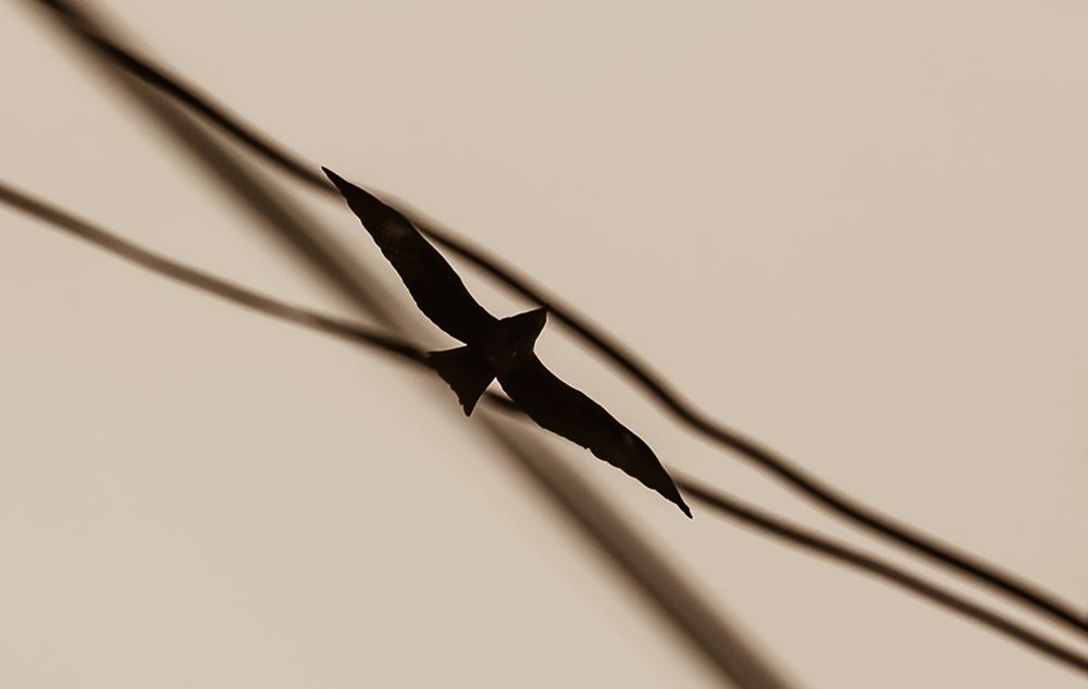 Photograph by Анна Кравец