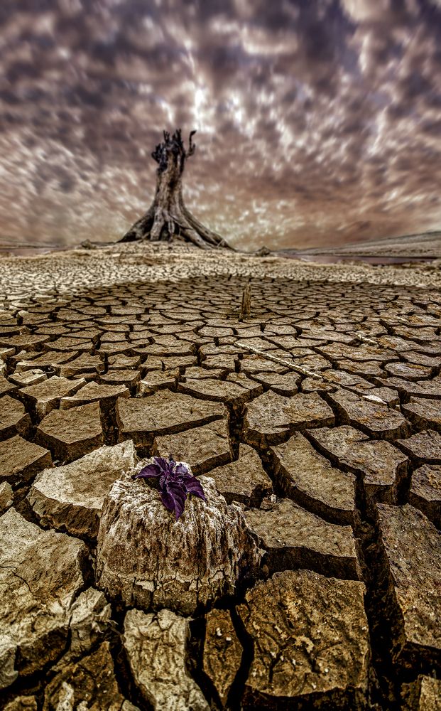 Photograph by Tran Khoa