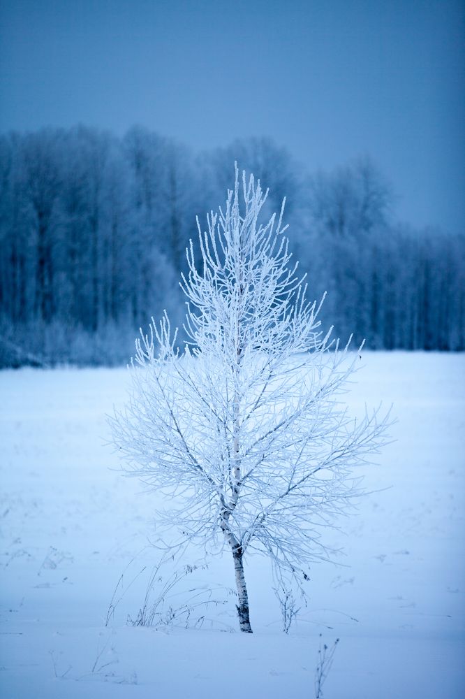 Photograph by Виктория Хадкевич