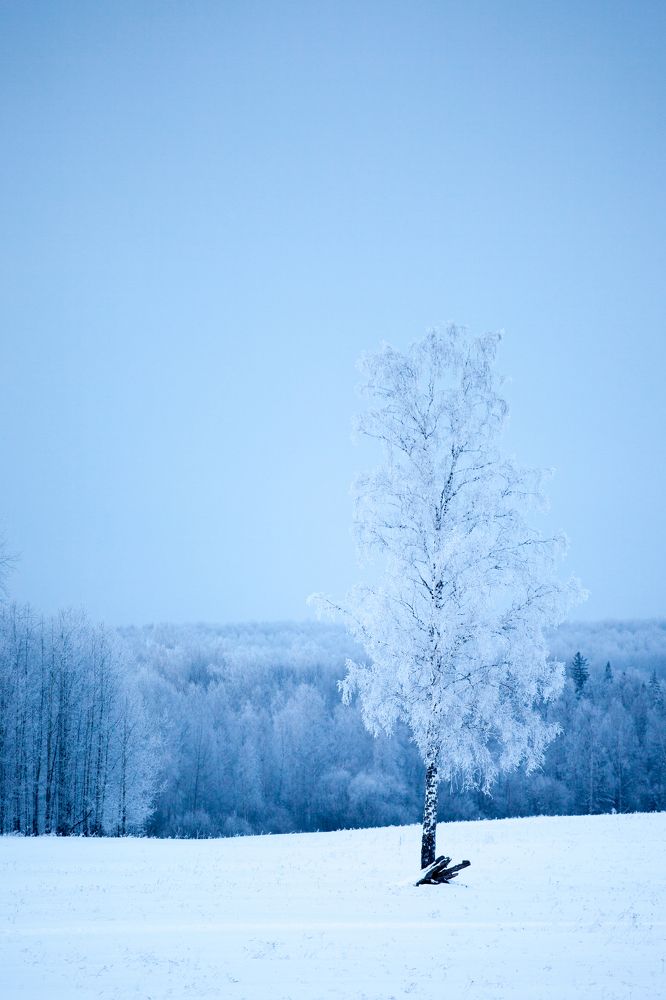 Photograph by Виктория Хадкевич