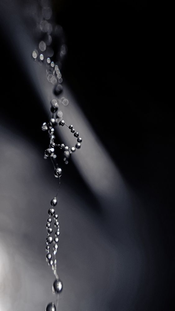 Photograph by Денис Шамров