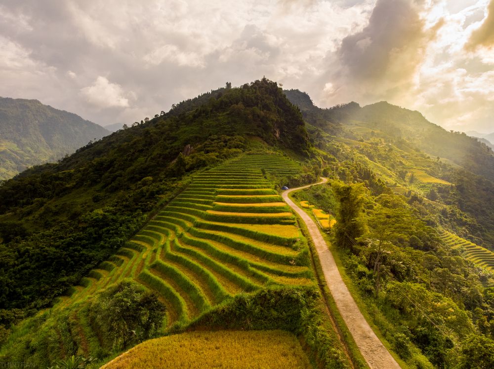 Photograph by Trần Minh Thìn