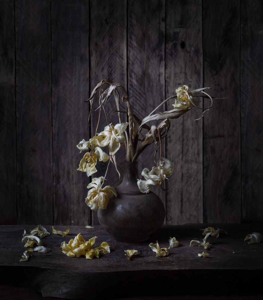 Photograph by Светлана Ерохина