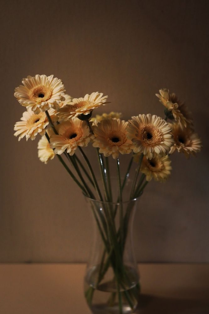 Photograph by Переверзева Татьяна