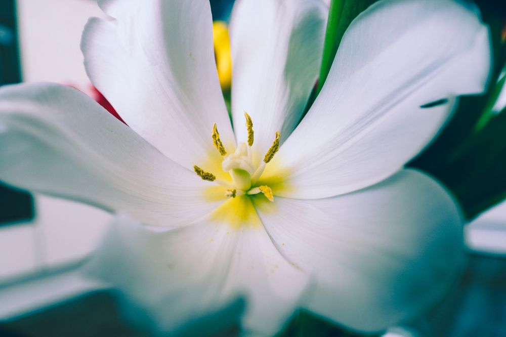 Photograph by Анна Дорофеева