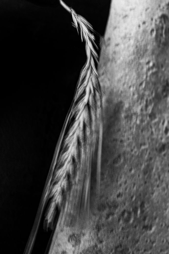 Photograph by Абрамова Аксинья