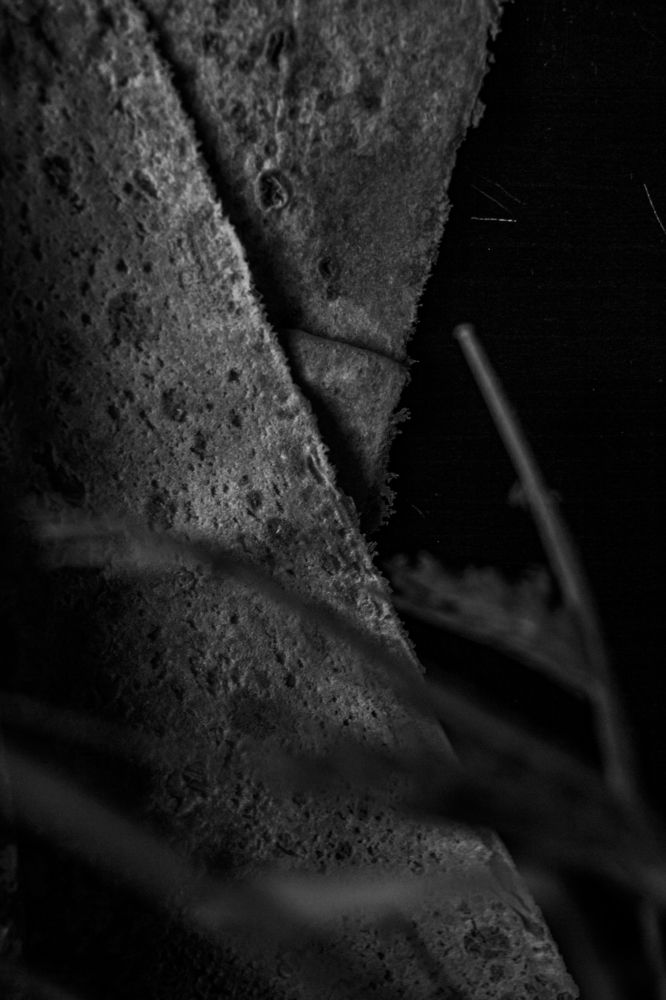 Photograph by Абрамова Аксинья