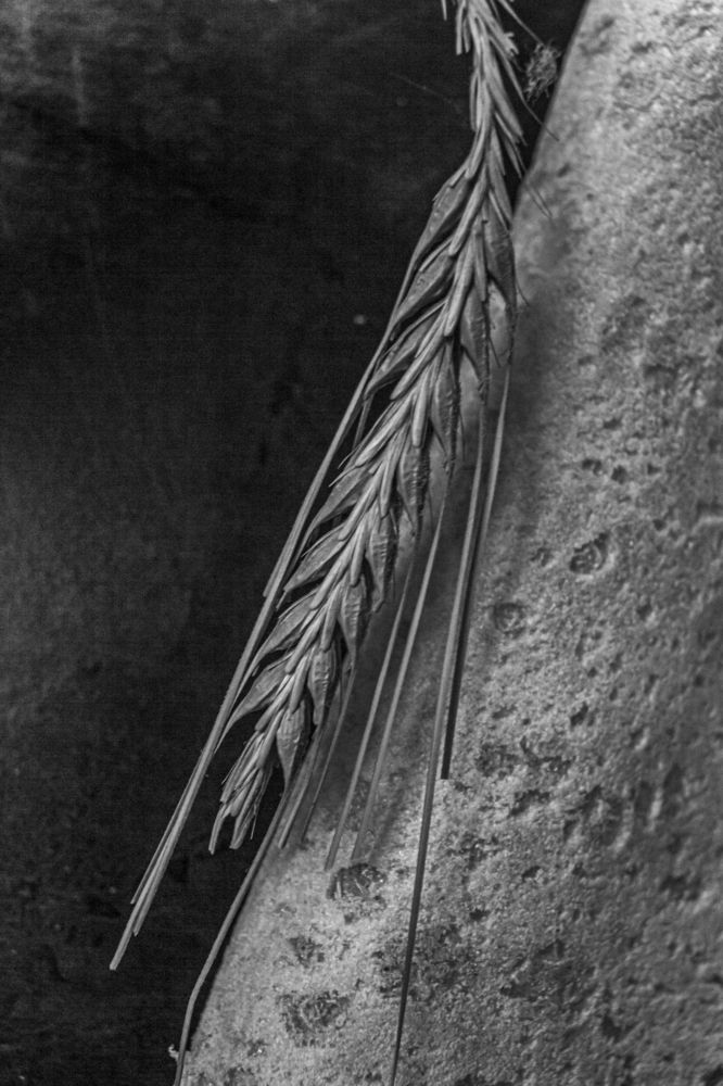 Photograph by Абрамова Аксинья