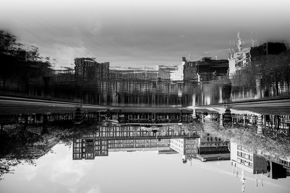 Photograph by Oksana Troshina