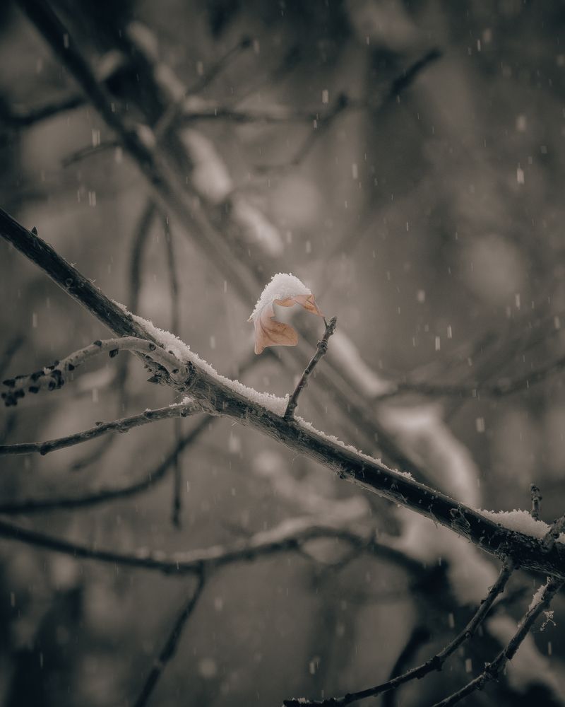 Photograph by Виталий Бодрягин