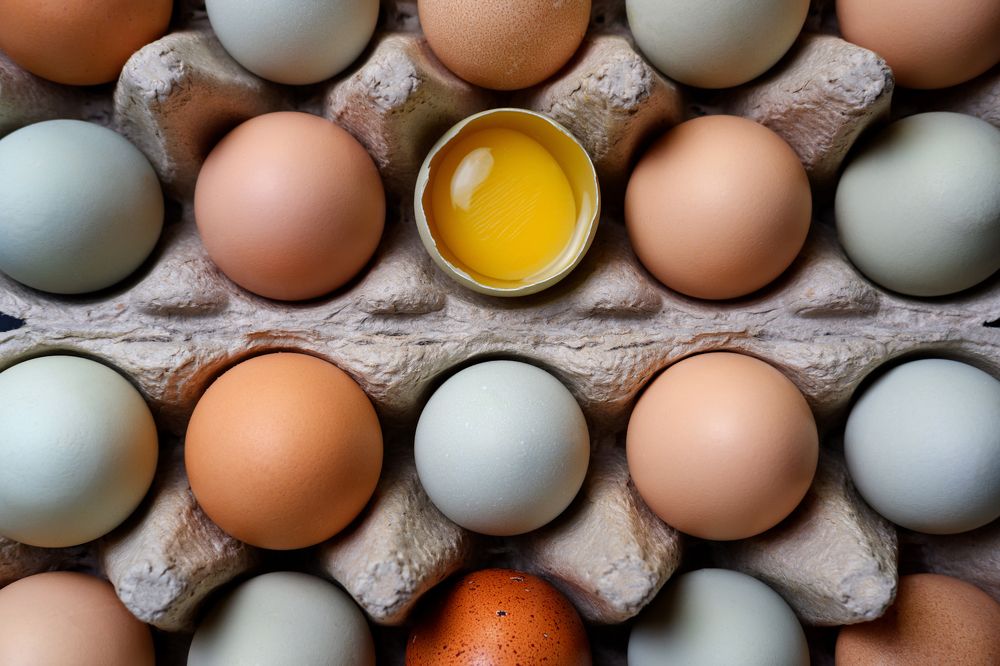 Photograph by Виталий Бодрягин