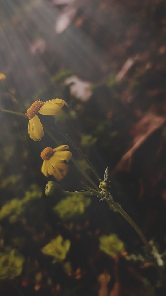 Photograph by Sarah Pouryousef