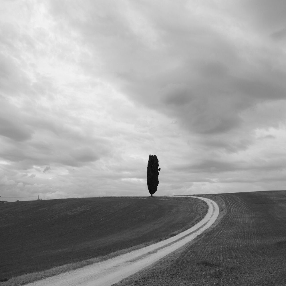 Ognuno la propria strada