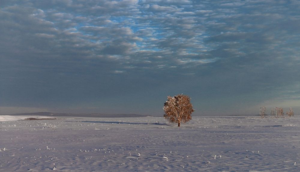 Photograph by Сергей Марков