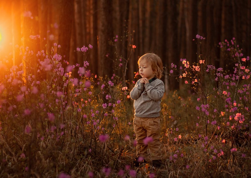 Photograph by Елена Рудь