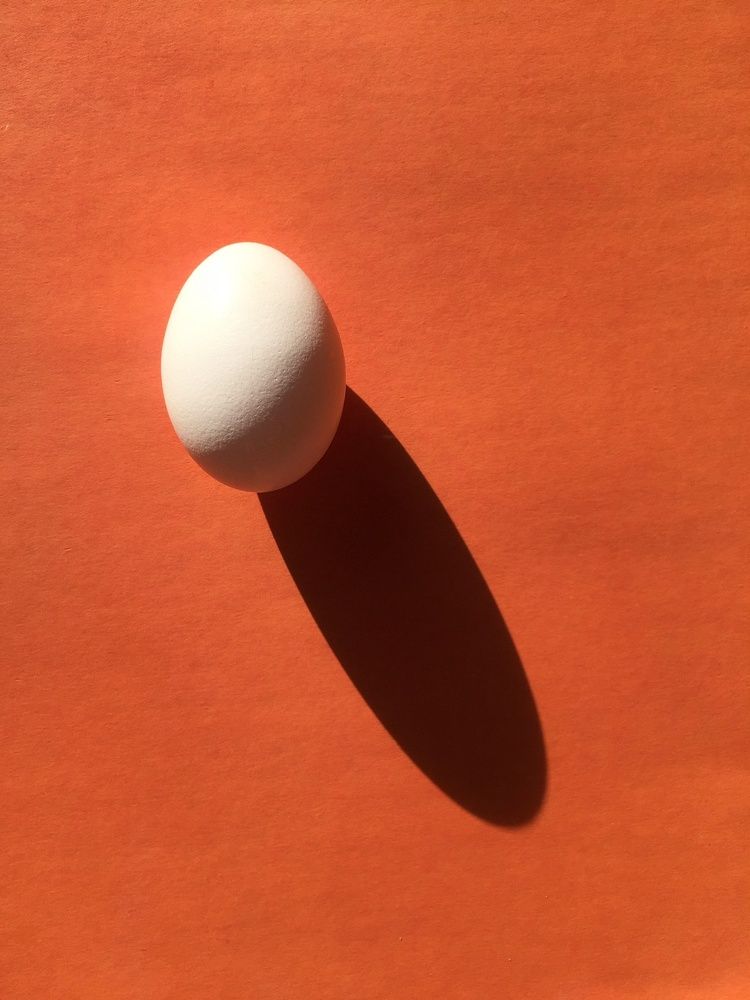 Photograph by Алена Шаргина