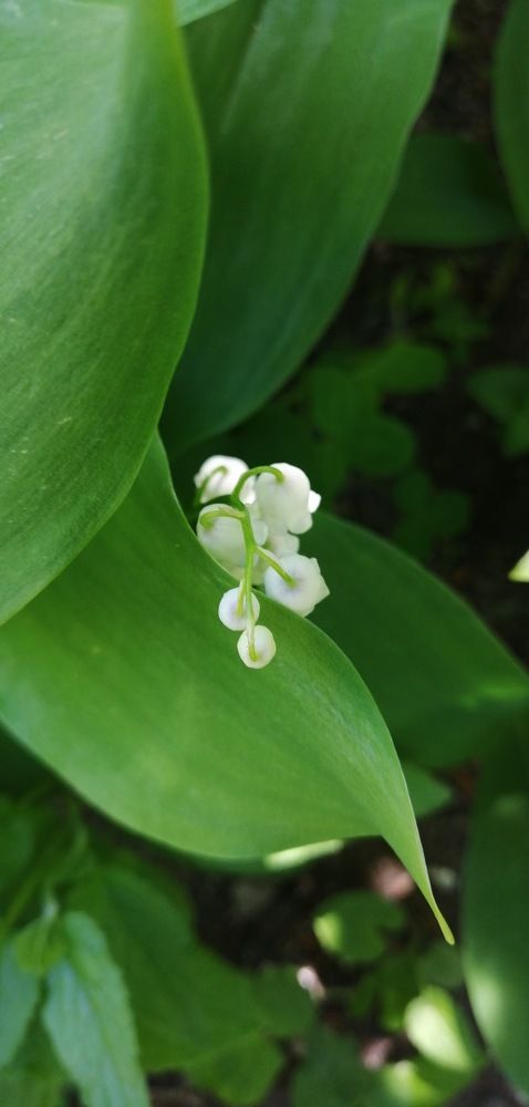 Photograph by Мила Мит