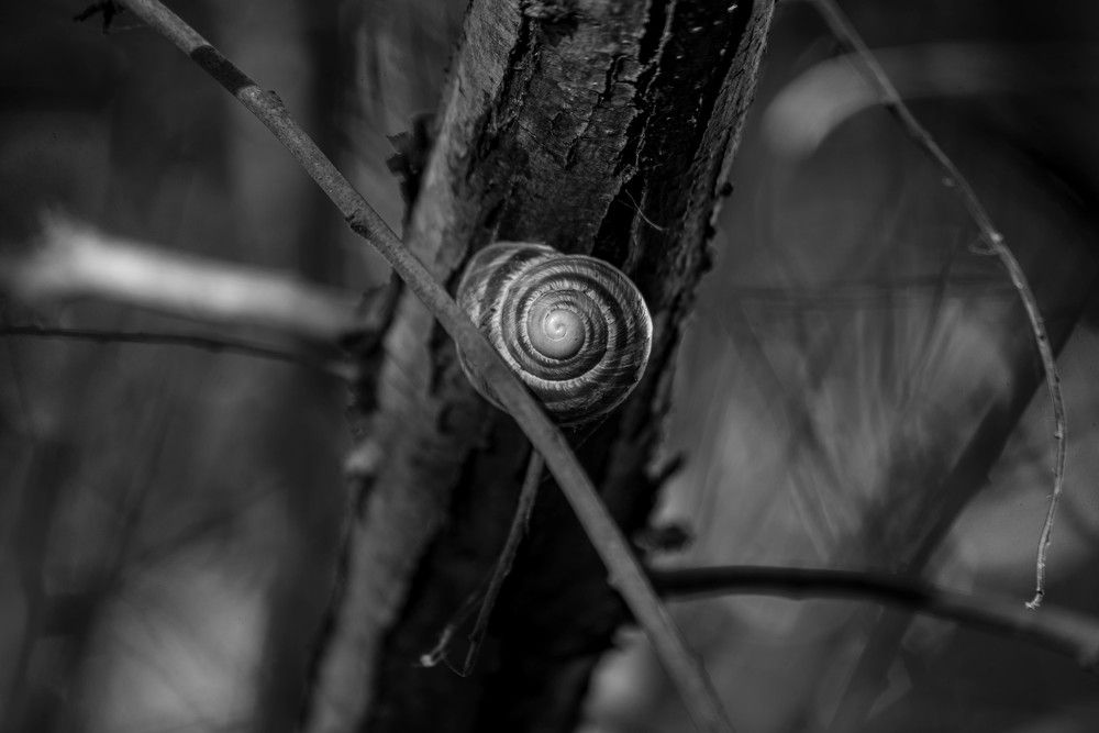 Photograph by Андрей Перец