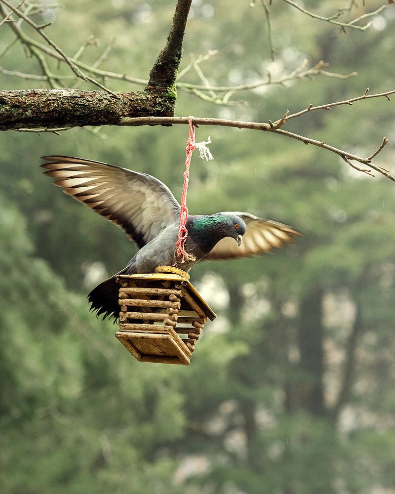 Photograph by Ангелина Голубева
