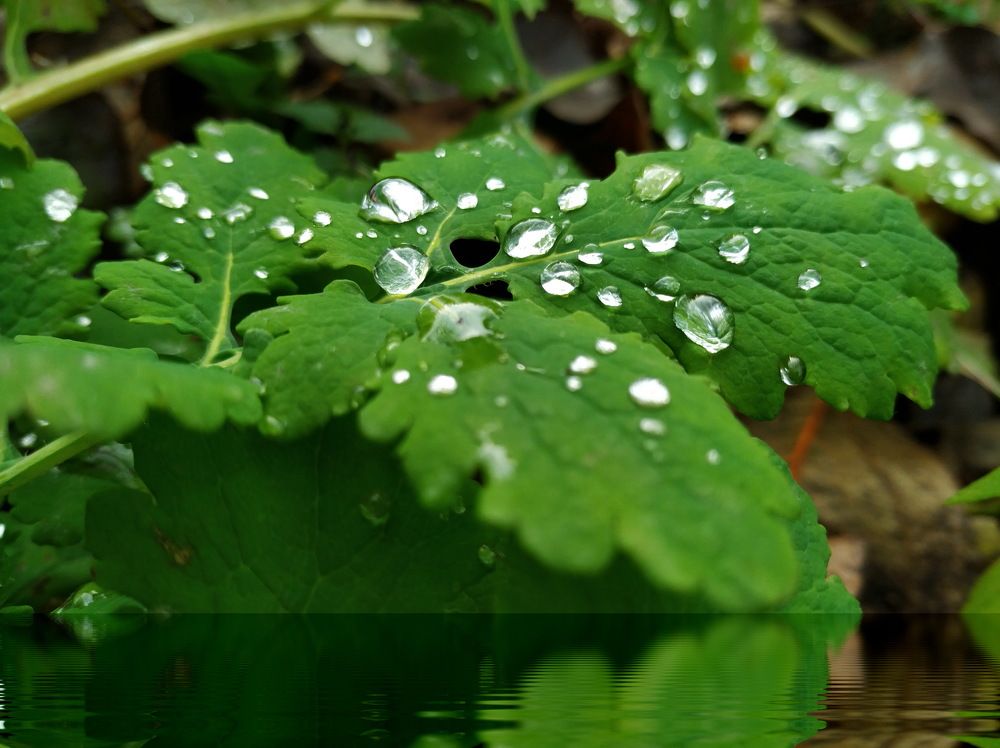 Photograph by Татьяна Никифоровец