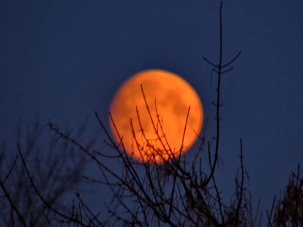 Photograph by Николай Николаевич Леухин