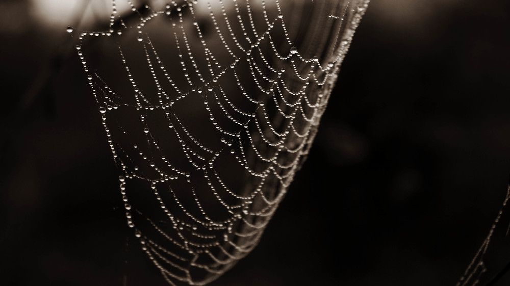 Photograph by Иван Кирилков