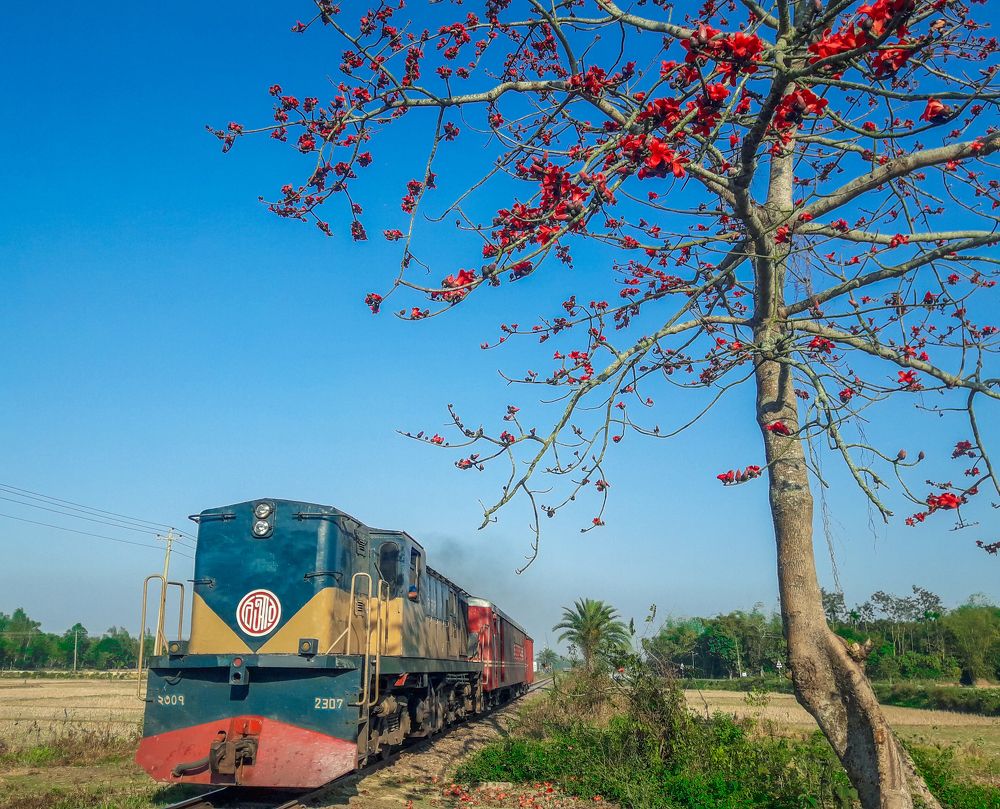 Photograph by Sameer Dash