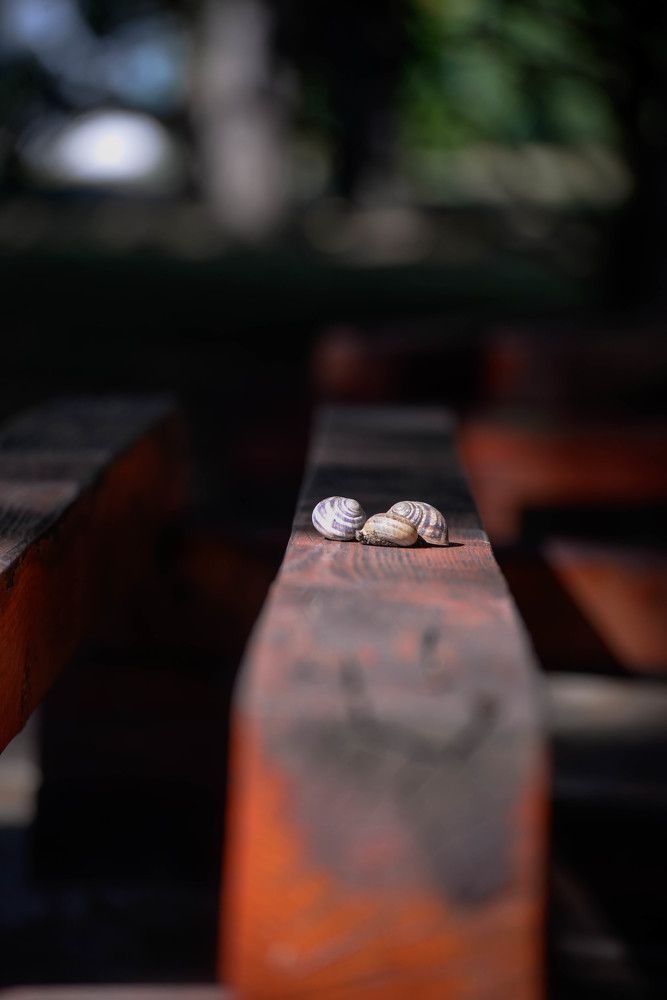 Photograph by Андрей Перец