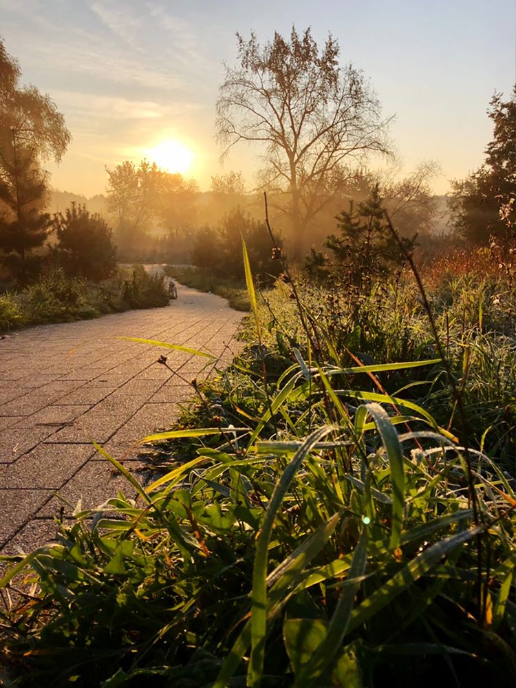 Photograph by Юлия Дудкова