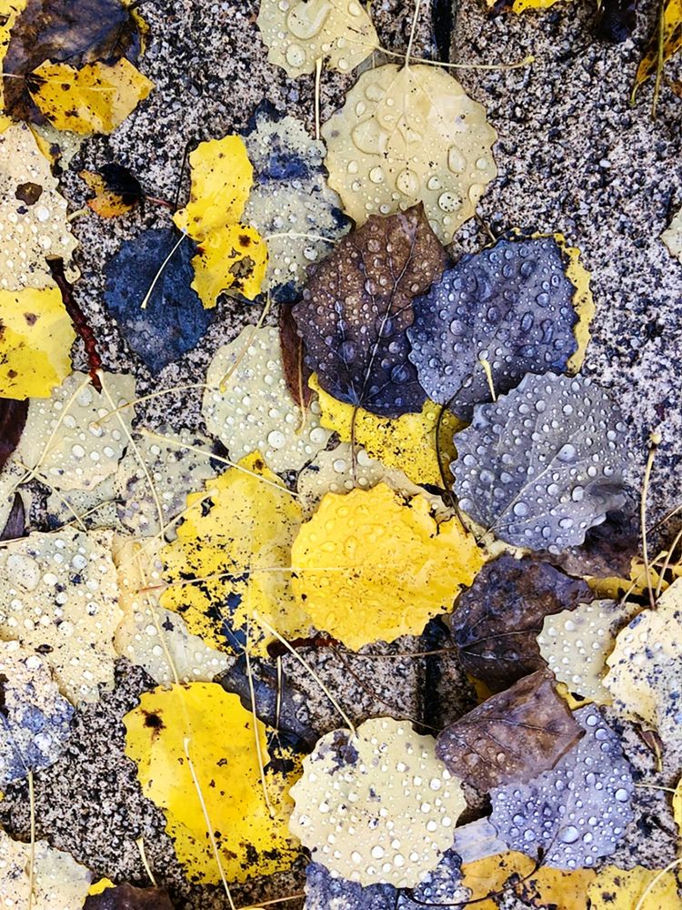 Photograph by Юлия Дудкова