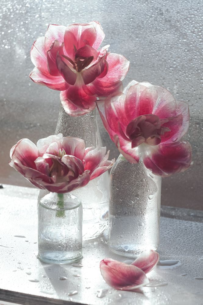 Photograph by Алеся Писнова