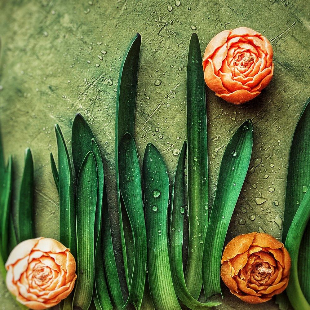 Photograph by Буланцев Ольга Борисовна