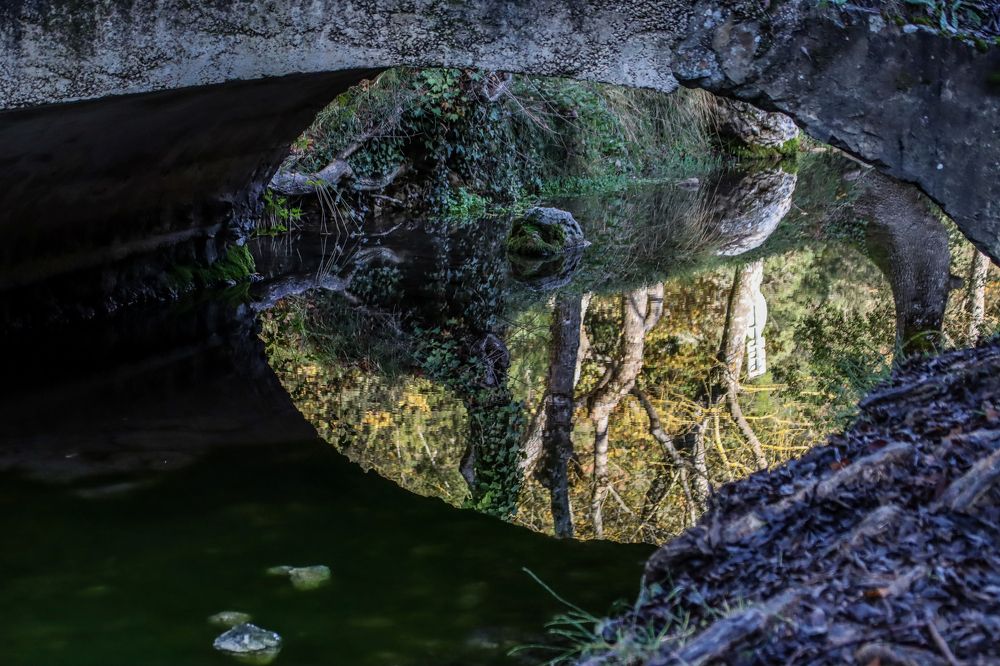 Фотография автора vanessa elbin