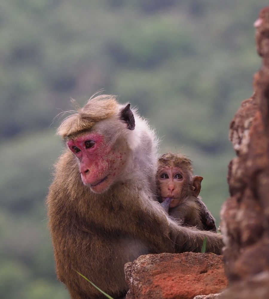 Photograph by Екатерина Шмелева