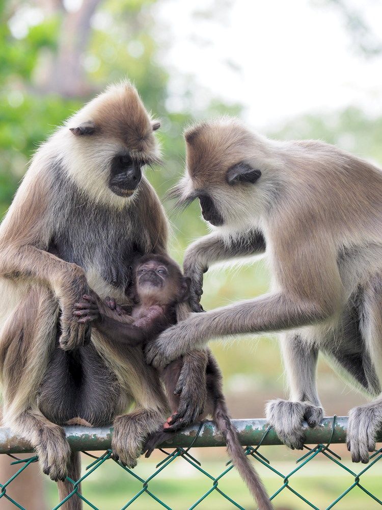 Photograph by Екатерина Шмелева