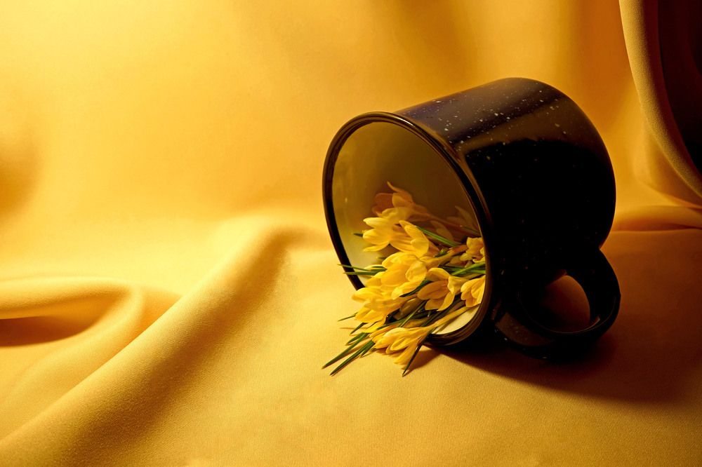 Photograph by Tatiana Glazkova