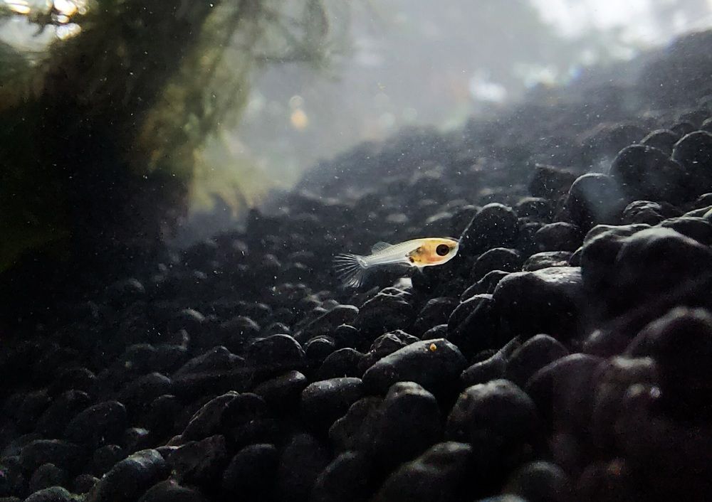 Photograph by Mathew Nishanth