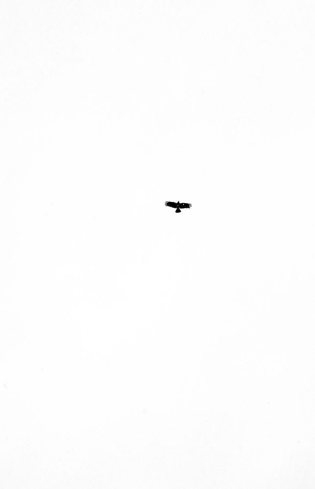 Фотография автора Мила Раткина