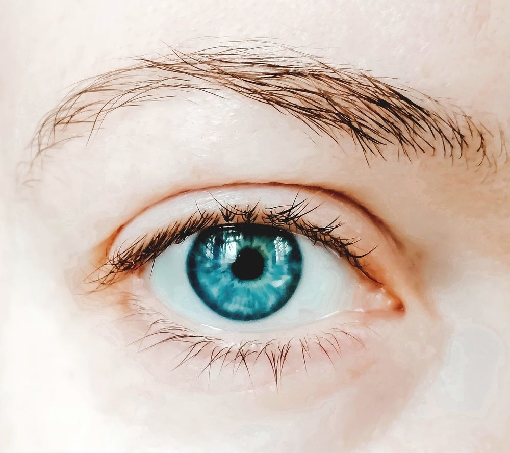 Фотография автора Мила Раткина