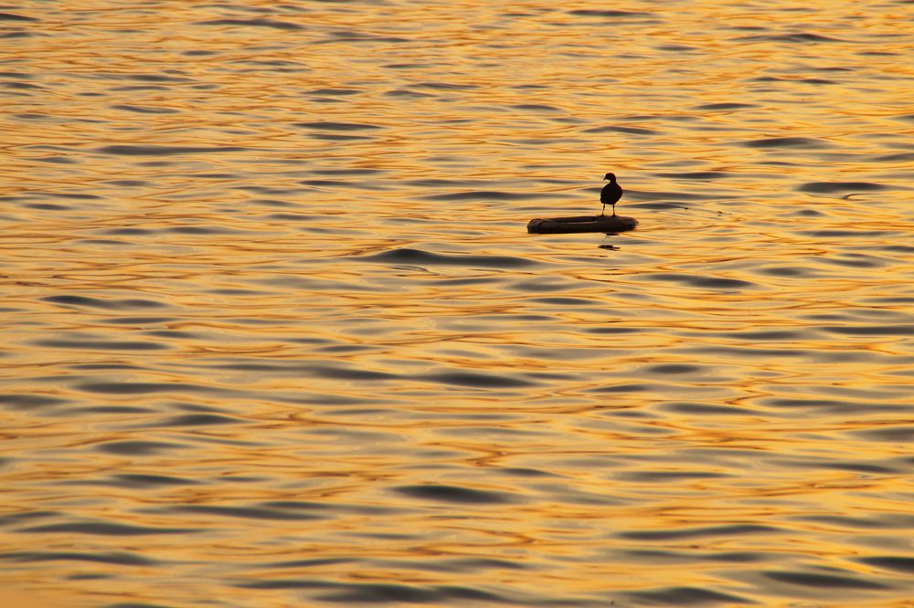 Photograph by Павел Колеснев