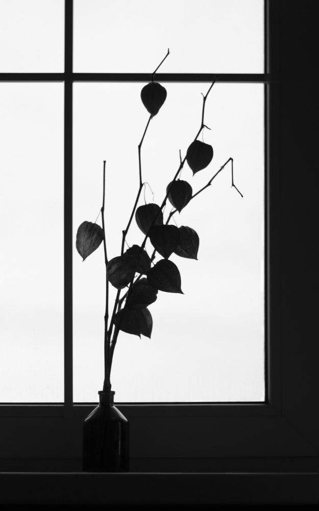 Photograph by Елена Коврижных