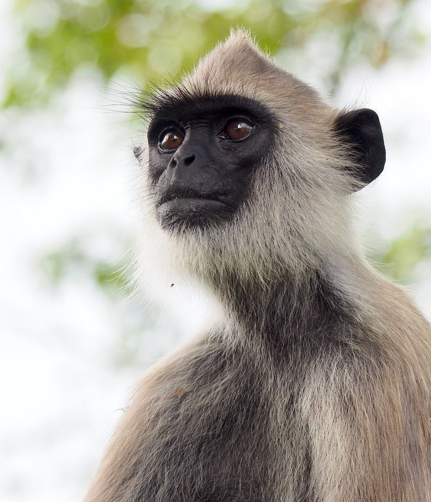 Photograph by Екатерина Шмелева